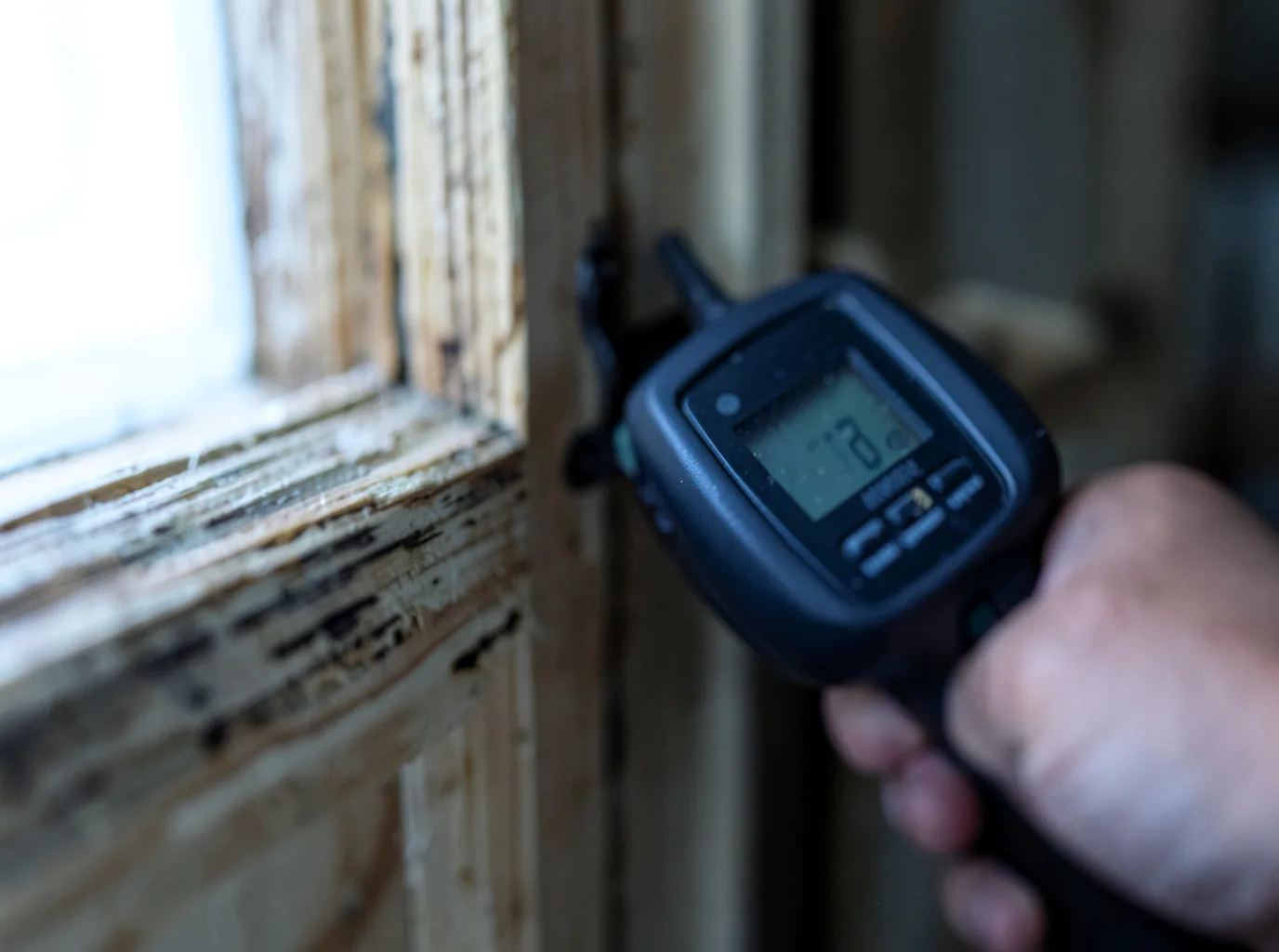 Commercial Water Damage Restoration in Dingle, ID